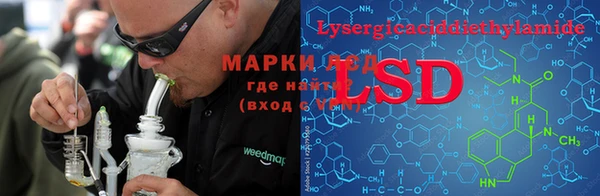 прущие грибы Арсеньев