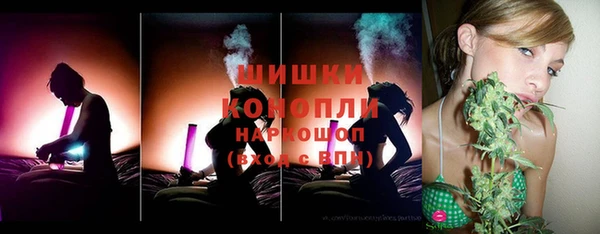 прущие грибы Арсеньев