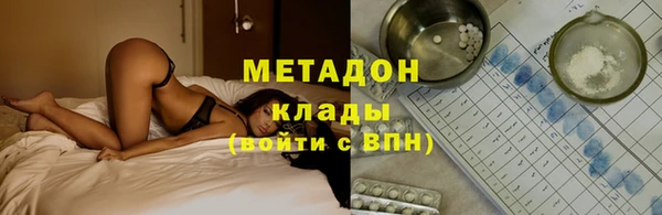 прущие грибы Арсеньев