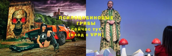 прущие грибы Арсеньев