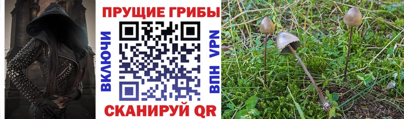 кракен ТОР Валдай Галлюциногенные грибы GOLDEN TEACHER наркота